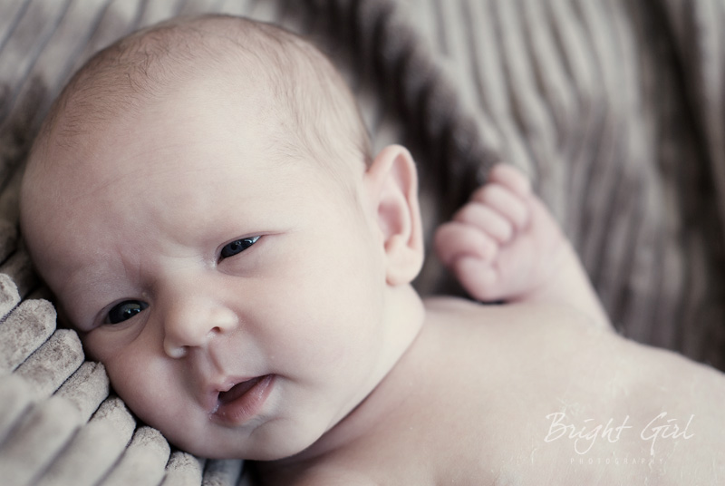 Newborn Portrait