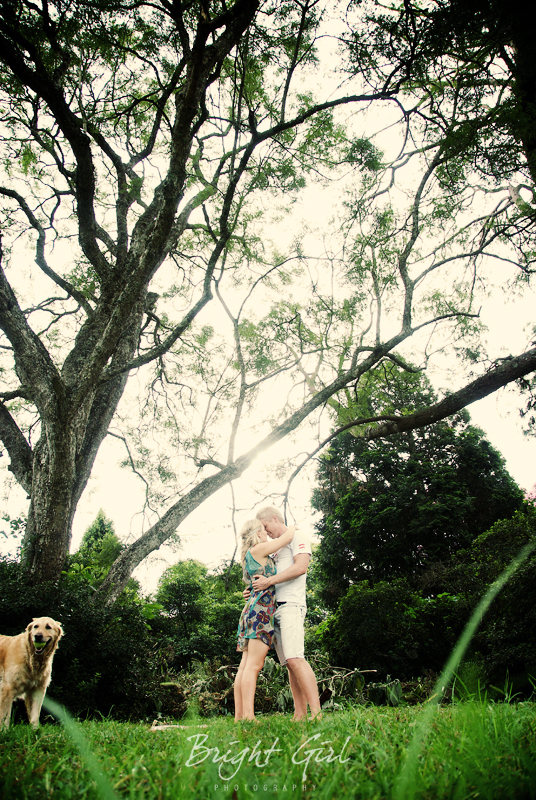 blogHH17