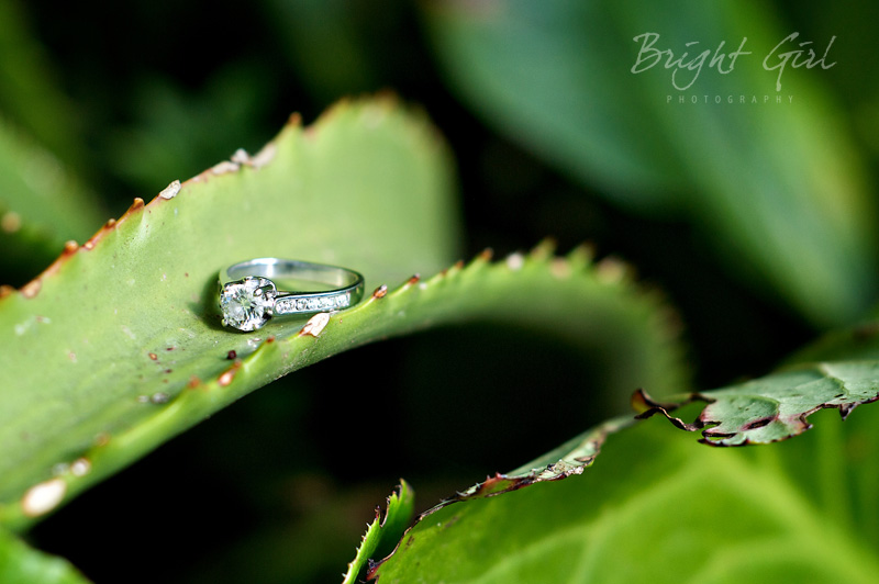 blogWedRuana--3257